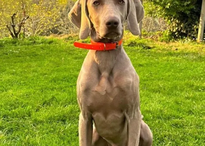 Séjour à la ferme Podere Pescara *
