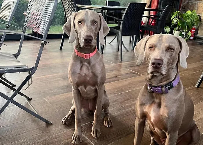 Podere Pescara Orvieto