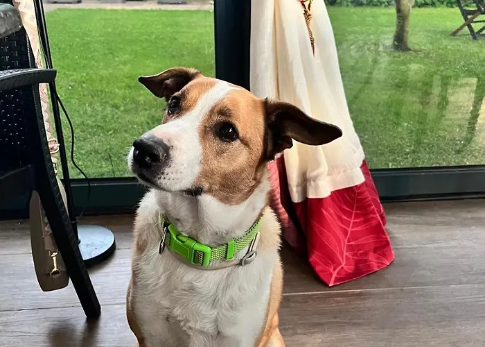 Podere Pescara Séjour à la ferme